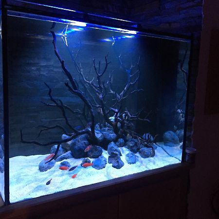 Aquarium House Apartment Сесимбра Екстериор снимка