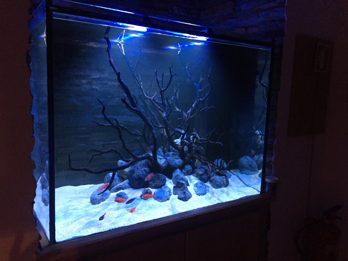 Aquarium House Apartment Сесимбра Екстериор снимка